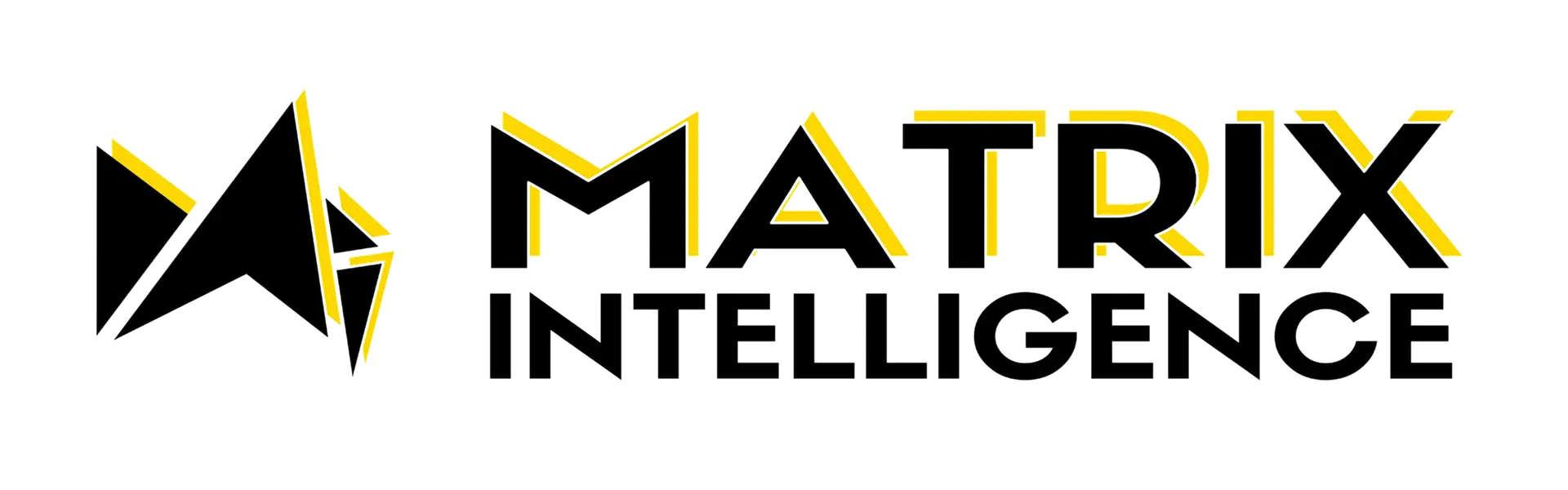 Matrix Intelligence Odoo Partner
